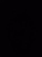 Auto vacuum cleaner Proove Void Assistant C2 - Image 2